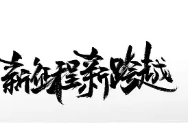 新未来城体育希望引进迪萨西和斯特拉斯堡的杜库雷